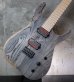 画像14: Skervesen Velociraptor 6-Strings / Swamp Ash Graphite