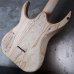 画像13: Skervesen Velociraptor 6-Strings / Swamp Ash Graphite