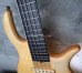 画像10: elrick Gold Series e-volution 5 Strings Bolt-on  