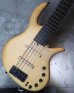 画像13: elrick Gold Series e-volution 5 Strings Bolt-on  