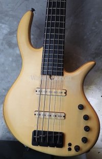 elrick Gold Series e-volution 5 Strings Bolt-on