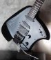 画像12: Steinberger GK-4T Klein / Black