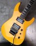 画像13: Jackson USA Custom Shop Soloist SL2H / TC Yellow