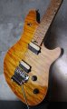 画像6: Peavey USA Wolfgang Standard / Trans Amber