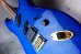 画像11: Charvel USA Custom Shop Jake E. Lee Signature Blue Burst