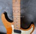 画像10: Suhr Standard Trans Honey Amber H-S-H　