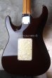 画像2: Suhr Standard Trans Honey Amber H-S-H　