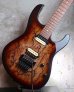 画像13: Suhr Modern / Trans Light Brown Lichtenberg Process