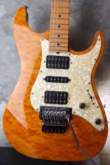 Suhr Standard Trans Honey Amber H-S-H　