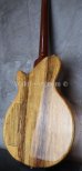 画像6: David Thomas McNaught Vintage Single Cut 5A Quilt Top / Rosewood Neck 