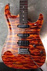 Suhr Carve Top Standard /  Killer　Quilt / Jacarandá