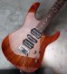 画像13: Tom Anderson Angel "KOA" /  Honey Shaded Edge with Binding 