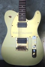 Fender Telecaster "Goldy"  / John5  mod 
