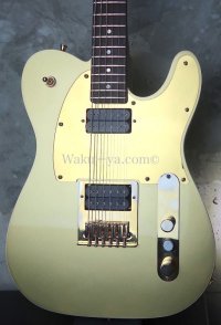 Fender Telecaster "Goldy"  / John5  mod