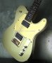 画像9: Fender Telecaster "Goldy"  / John5  mod 