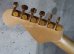 画像7: Charvel Custom　Shop San　Dimas 2H / Red