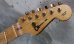 画像3: Charvel Custom　Shop San　Dimas 2H / Red