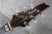 画像4: Ibanez PS-10 LTD  Paul Stanley Model  /  Pearl Black
