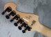 画像7: Washburn N4 Nuno Bettencourt White Prototype / Black Hardware