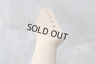 画像5: Warmoth Maple Neck 22F /  Indian Rosewood / Vintage Moderen Telecaster®️
