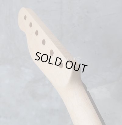 画像14: Warmoth Maple Neck 22F /  Indian Rosewood / Vintage Moderen Telecaster®️