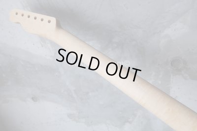 画像8: Warmoth Maple Neck 22F /  Indian Rosewood / Vintage Moderen Telecaster®️