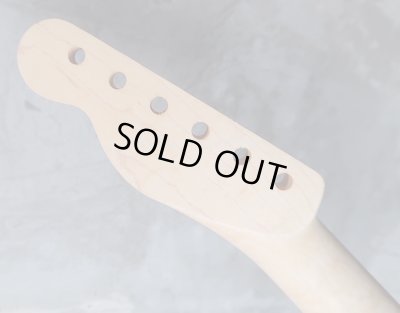 画像7: Warmoth Maple Neck 22F /  Indian Rosewood / Vintage Moderen Telecaster®️