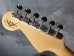 画像4: ♬一本限り☆緊急入荷☆即納可☆Fender Custom Shop Limited Edition BVLGARI Stratocaster® /  NOS