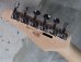 画像7: Tom Anderson DropTop/Trans green to forest burst