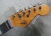 画像3: Valley Arts '78　Stratocaster SSS / Natural 