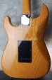 画像2: Valley Arts '78　Stratocaster SSS / Natural 