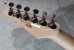 画像7: Tom Anderson Guardian Angel  /  Natural Arctic Blue with Binding