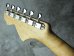 画像3: Davis Custom Guitars Yngwie Malmsteen Scalloped Stratocaster / Olympic White 