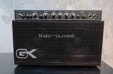 Gallien-Krueger 250ML　(２)