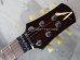 画像3: Tom Anderson Bulldog Locker Light Tiger Eye Burst with Binding  