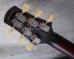 画像7: Tom Anderson Bulldog Locker Light Tiger Eye Burst with Binding  