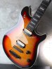 画像13: EVH Wolfgang Hard Tail Sunburst