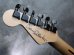 画像7: Charvel USA Warren DeMartini Blood and Skull + D-Tuner