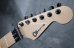 画像3: Charvel USA Warren DeMartini Blood and Skull + D-Tuner