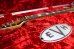 画像14: EVH Wolfgang Hard Tail Sunburst