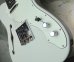 画像11: Fender MIJ Limited Telecaster® Thinline / Kusumi White