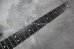 画像4: Steinberger GL-7TA '92 /  Elite  (4)