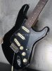 画像9: Fender Custom Shop LTD 1960 Dual-Mag Stratocaster / Aged Black (9)
