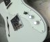 画像10: Fender MIJ Limited Telecaster® Thinline / Kusumi White (10)
