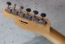 画像6: Fender MIJ Limited Telecaster® Thinline / Kusumi White (6)
