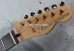 画像3: Fender MIJ Limited Telecaster® Thinline / Kusumi White (3)