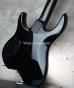 画像12: Steinberger GS-7TA  / Black (12)