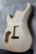 画像7: MusiKraft / Build a Kramer Pacer (7)