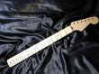 画像1: WARMOTH Maple Neck 21F /Small head STRATOCASTER® (1)