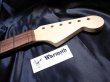 画像2: WARMOTH WARMOTH Rosewood / Maple Neck 22F / Small head STRATOCASTER®  (2)